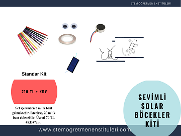 Sevimli Solar Böcekler Kiti